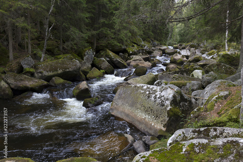 Wild Landscape about Creek Kremelna, Sumava, mountains in south Czech photo