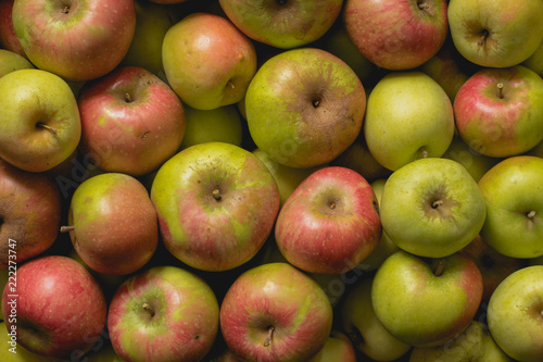 Unbehandelte Äpfel, Bio, Nahaufnahme