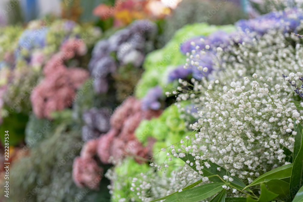 Obraz premium Wall of flowers and herbs.