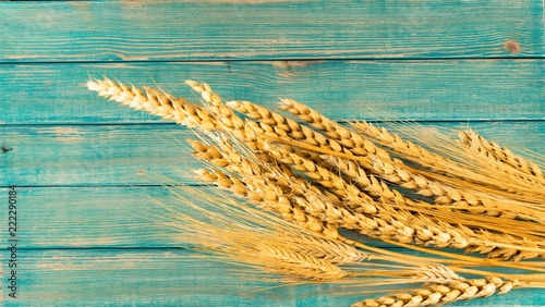 Wheat ears on wooden table background