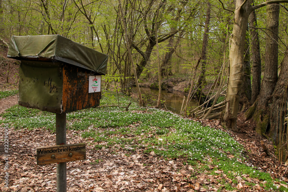 Natura Trail, Biesenthal, Wandern in Brandenburg Natura Trail, Biesenthal, Wandern in Brandenburg