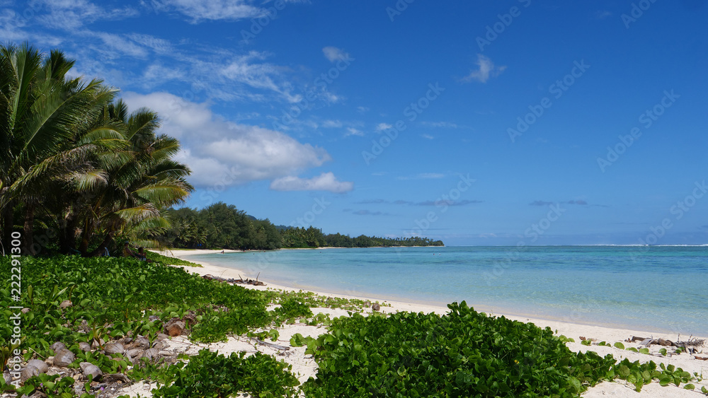 Palm trees and greenery on tropical white sand beach flutters in ocean breeze.