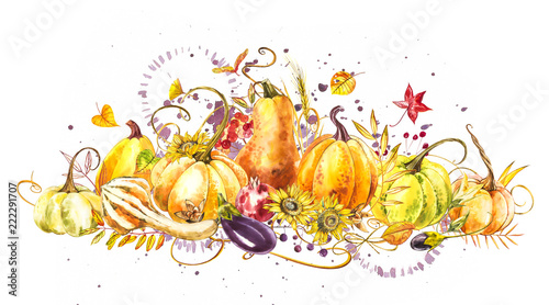 Fototapeta Naklejka Na Ścianę i Meble -  Pumpkins composition. Hand drawn watercolor painting on white background. Watercolor illustration with a splash. Happy Thanksgiving Pumpkin.