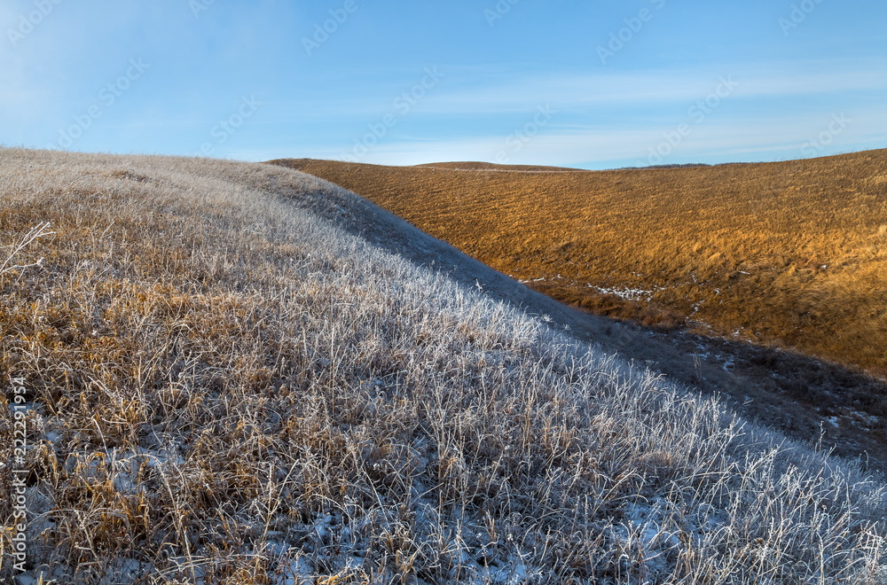 Orange steppe in the snow, hoarfrost. The winter steppe is frostbitten. Steppe landscape, nature.
