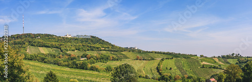 Panorama view over vineyard valley towards Kahlenberg and Leopldsberg