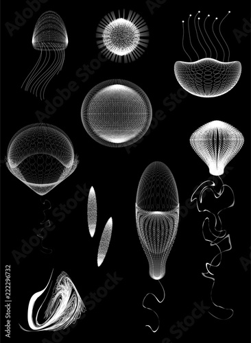 primitive organisms set, jelly,