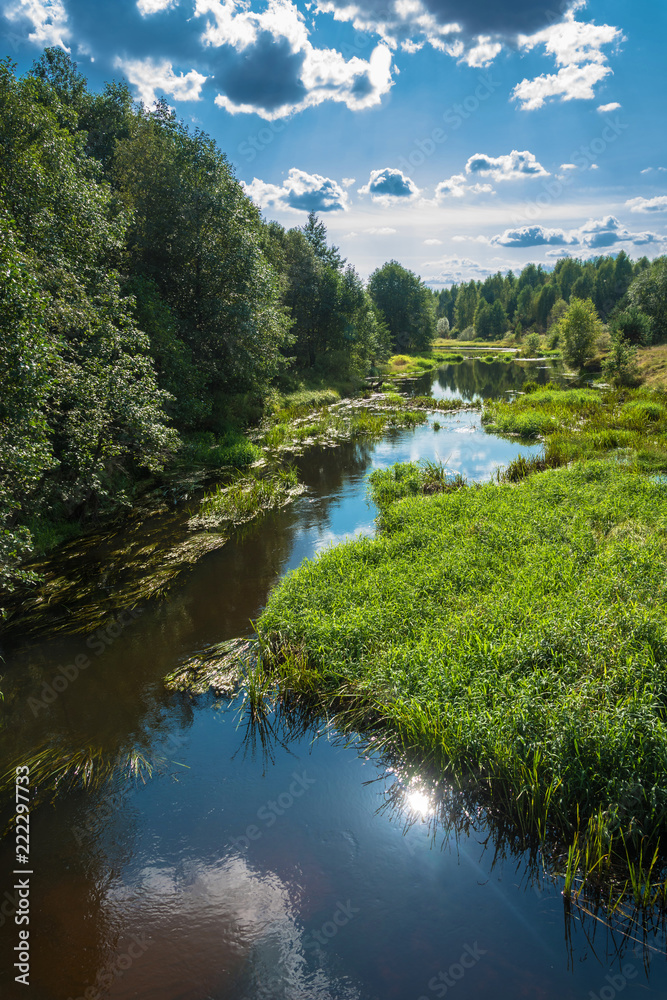 Obraz premium Summer landscape with a small river.