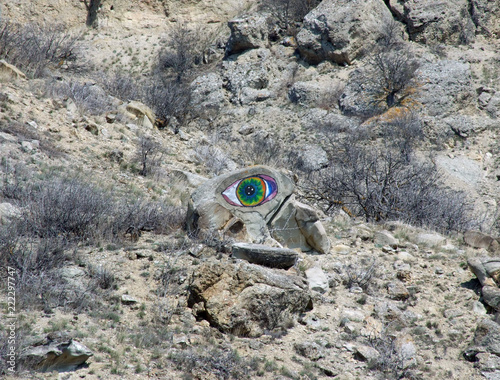 eye on the rock photo