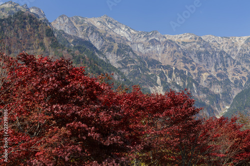 紅葉と笠ヶ岳