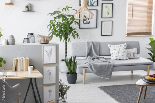 Plants in a grey living room interior with a sofa, art collection and desk. Real photo