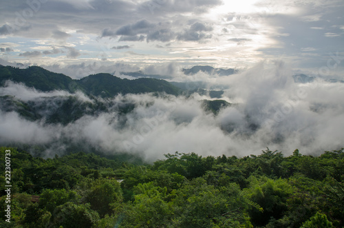 Landscape with sea of foggy awakening in a beautiful hills at Thailand.