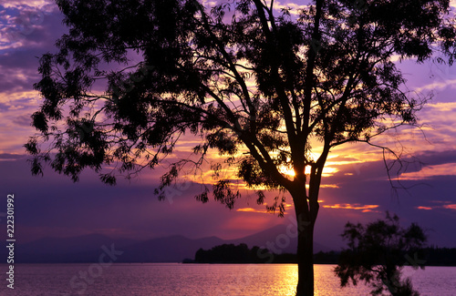 purple sunset scenery behind the silhouette tree at Dreams island Eretria Euboea Greece