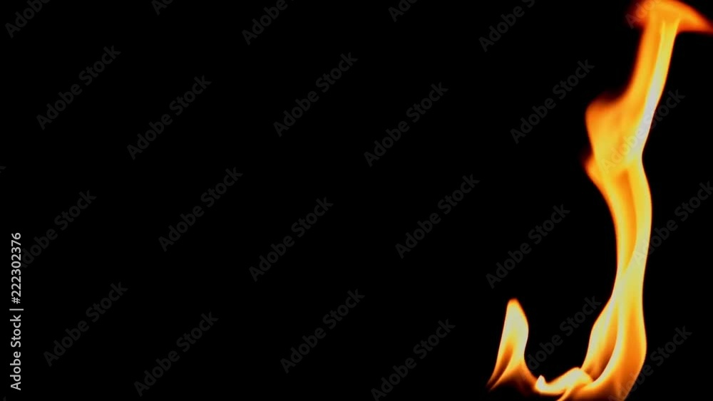 Flames are ignited and create beautiful shapes in slow motion Flames are ignited and create beautiful shapes in slow motion