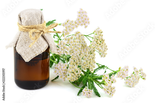 Yarrow (Achillea millefolium) Herbal Plant Essential Oil or Ticnture in Medicinal Bottle. Isolated on White Background. photo