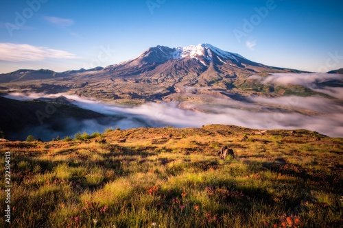 Fog fills the valley during wildflower season at Mount St Helens  photo