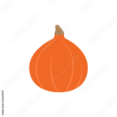 Hokkaido pumpkin, red kuri squash vector illustration. Autumn seasonal orange pumpkin graphic icon, isolated.