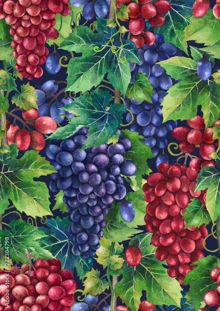 Fototapeta premium Watercolor pattern of red and blue grapes bunches
