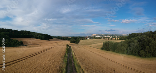 panorama rural summer landscape with a road