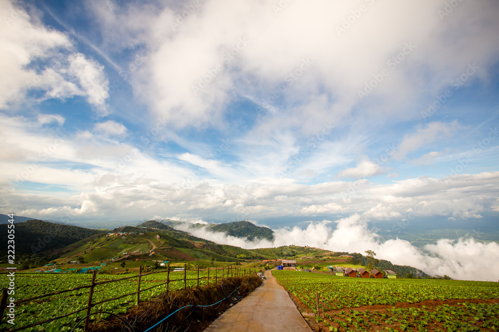 Gorgeous landscape of blue sky, white cloud and green hill. nature background and wallpaper, view from peak mountain.
