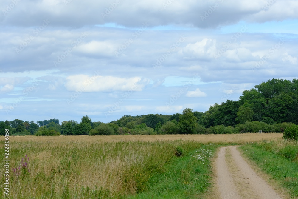 Im Bereich der Flußlandschaft der Hamme im Sommer in der Umgebung von Worpswede