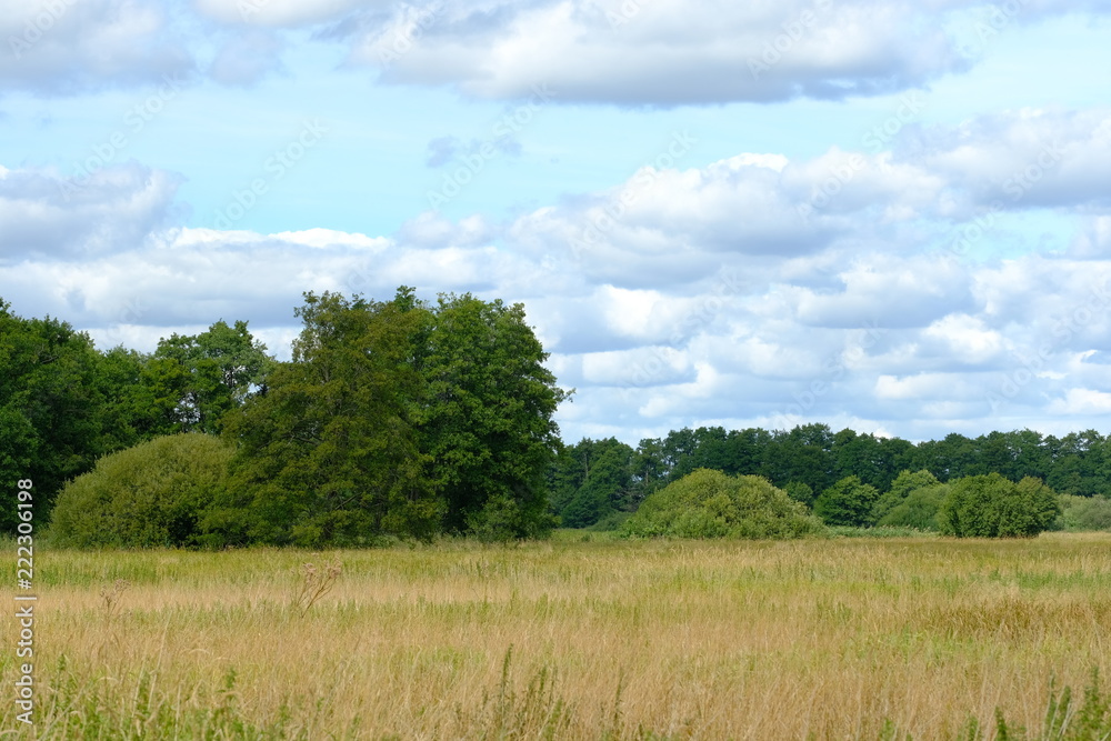 Im Bereich der Flußlandschaft der Hamme im Sommer in der Umgebung von Worpswede