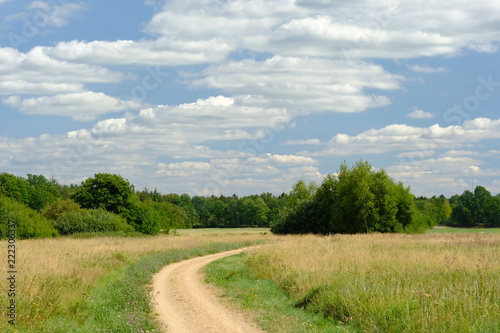 Im Bereich der Flu  landschaft der Hamme im Sommer in der Umgebung von Worpswede