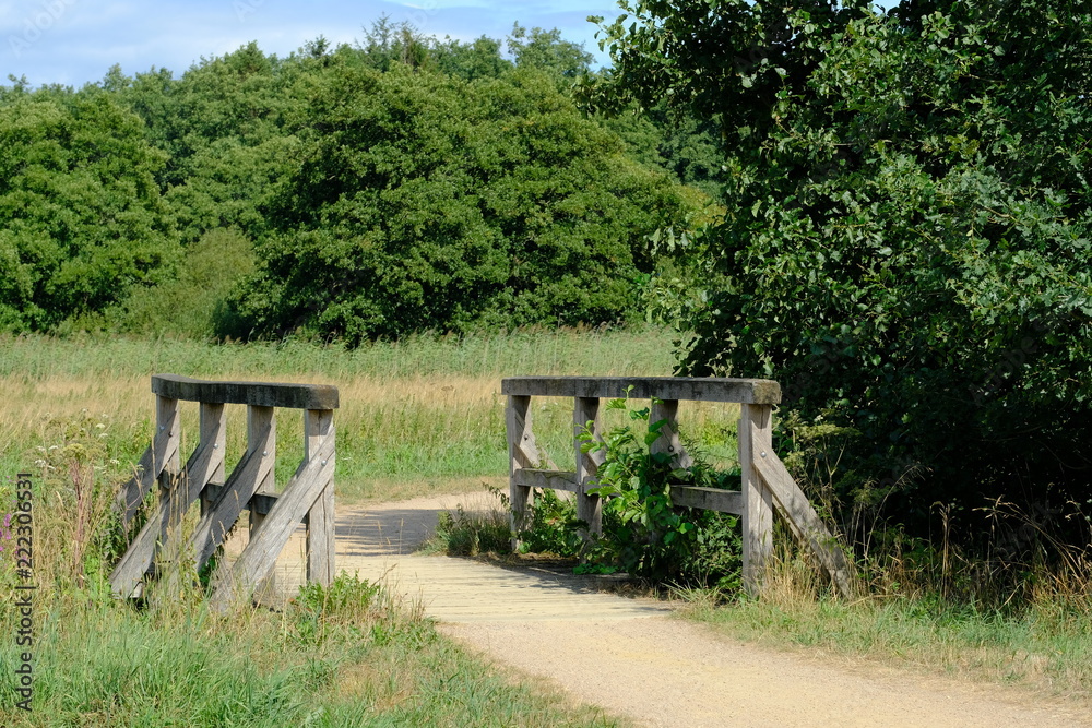 Im Bereich der Flußlandschaft der Hamme im Sommer in der Umgebung von Worpswede