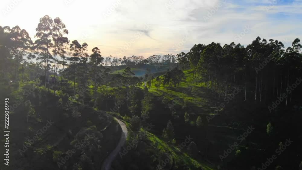 Plantations de Thé du Sri Lanka Haputale Nuwara Eliya Ella Paysage Badulla