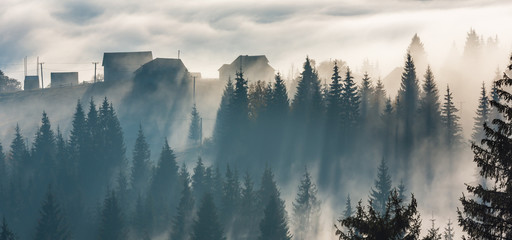 Keuken achterwand Mistig bos Herfstdorpje in Karpaten Oekraïne  © wildman