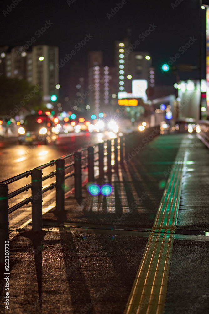 Obraz premium 夜の歩道