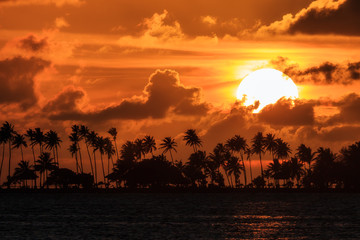 Fototapete Karibik Silhouette of tropical palm trees and the sun setting during a beautiful sunset in the Caribbean in San Juan, Puerto Rico  © dennisvdwater