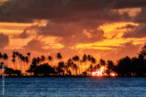 Silhouette of tropical palm trees and the sun setting during a beautiful sunset in the Caribbean in San Juan  Puerto Rico