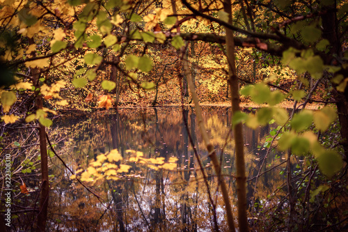 Teich im Herbst