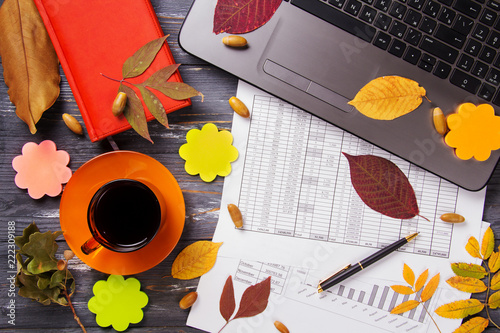 Office table with computer and autumn leaves.