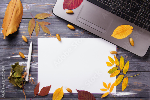 Office table with computer and autumn leaves.