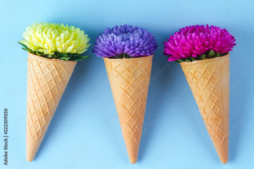 Flowers in a waffle horn on a blue background. Flower concept. Flowers in a waffle horn on a blue background. Flower concept.
