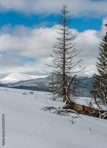Winter snowy Carpathian mountains, Ukraine