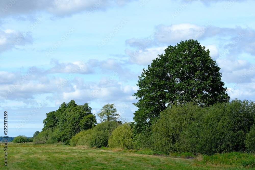 Obraz premium An der Hamme im Sommer in der Umgebung von Worpswede
