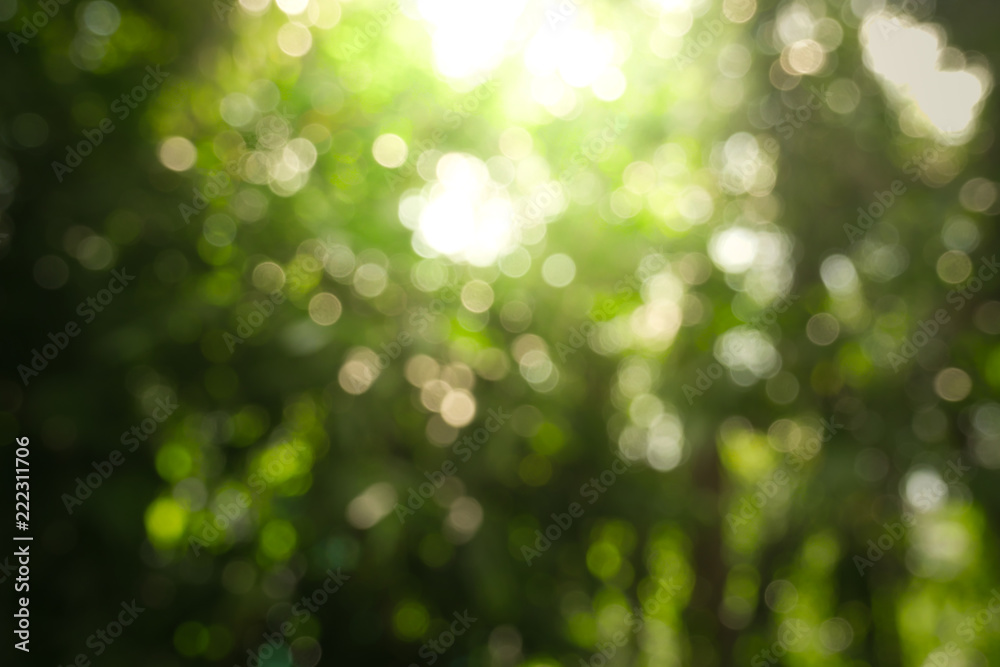 Sunny abstract green nature background, Blur park with bokeh light , nature,  garden, spring and summer season Stock Photo | Adobe Stock