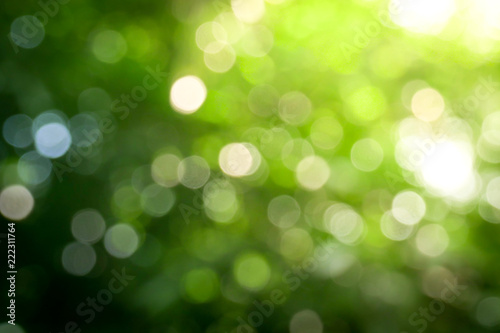 Sunny abstract green nature background, Blur park with bokeh light , nature, garden, spring and summer season