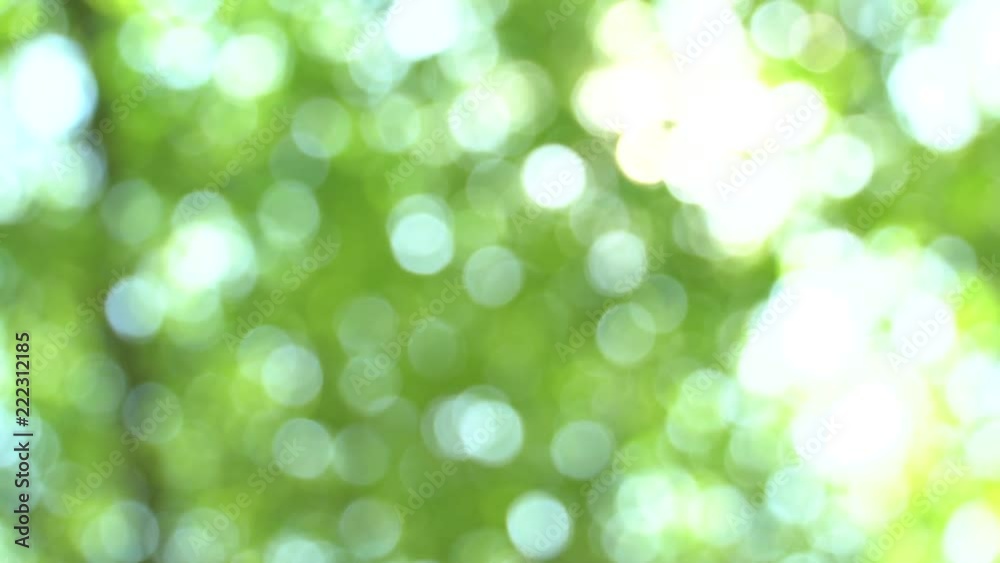 Swaying in the wind defocused bright summer sunny green background with bokeh and glares. Summer warm afternoon in canopy of trees Swaying in the wind defocused bright summer sunny green background with bokeh and glares. Summer warm afternoon in canopy of trees