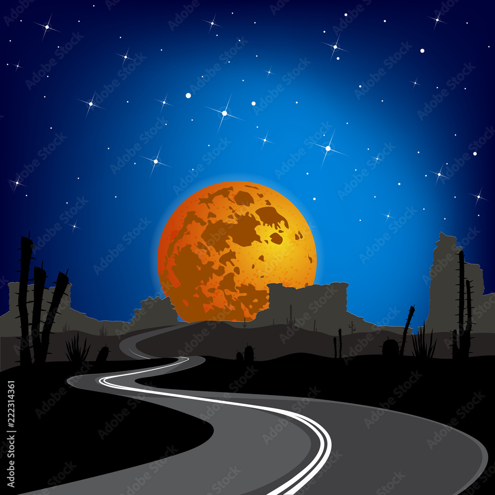 Naklejka premium The road in the desert at night. Vector landscape.