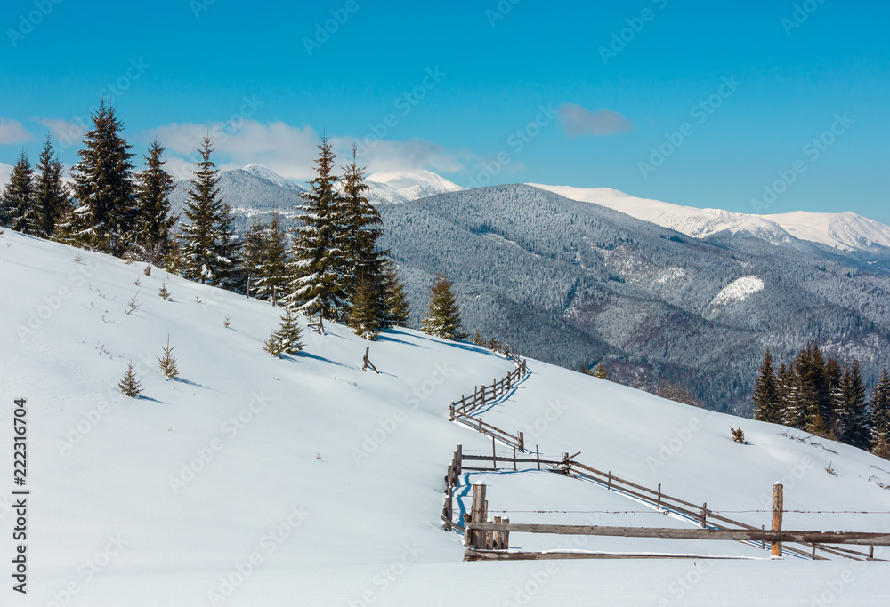 Winter snowy Carpathian mountains, Ukraine