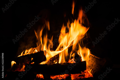 Burning wood at night. Campfire at touristic camp at nature