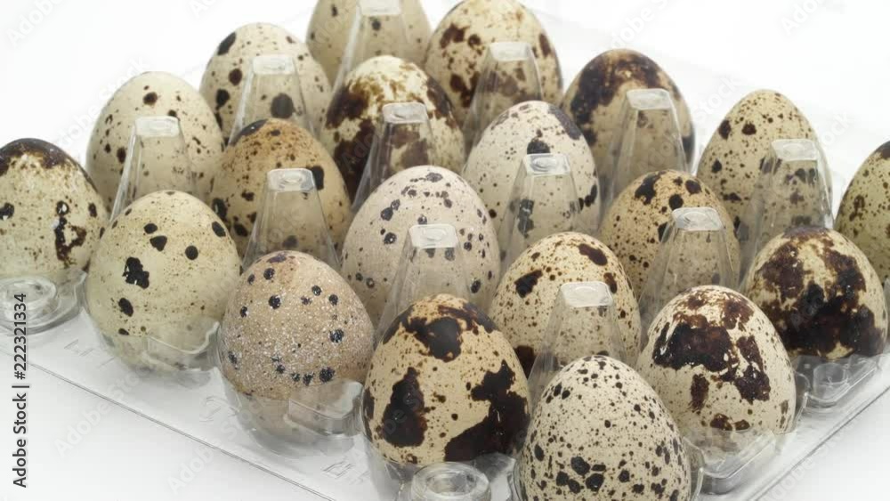 Transparent egg carton full of quail eggs is rotating on the turntable. Isolated on white background. Close-up. Macro. Transparent egg carton full of quail eggs is rotating on the turntable. Isolated on white background. Close-up. Macro.
