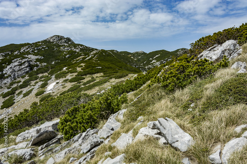 Landscape rocky mountains national park "Paklenica" in Croatia. Peaks of rocky hills with occasionally vegetation.