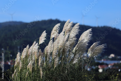 Ao vento 