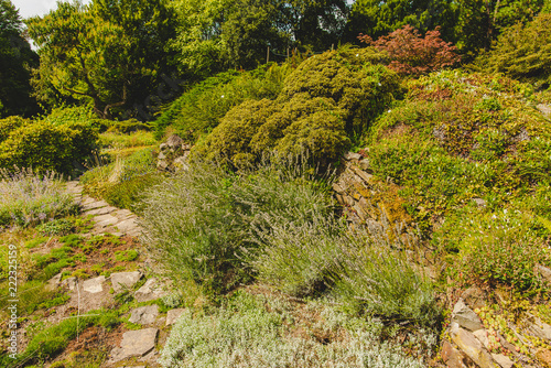 Botanischer Garten Solingen
 photo