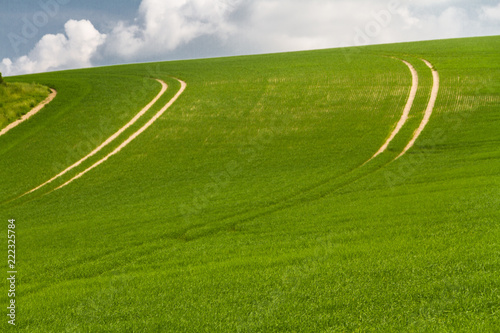 English countryside green fields.