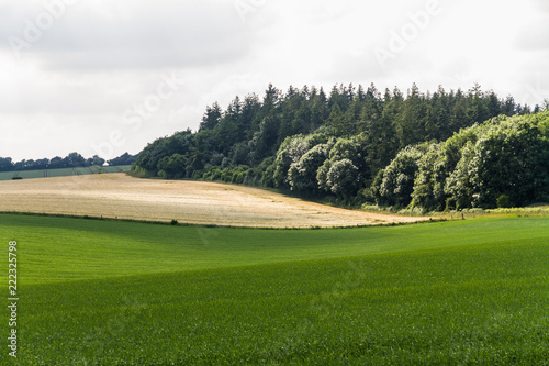 English countryside green fields.